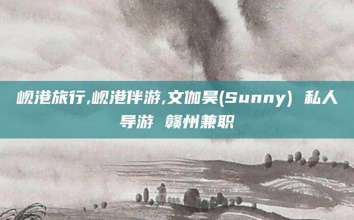 北京岘港旅行,岘港伴游,文伽昊(Sunny) 私人导游 赣州兼职